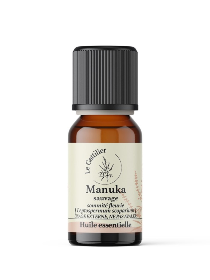 MANUKA SAUVAGE (Origine Nouvelle Zélande)