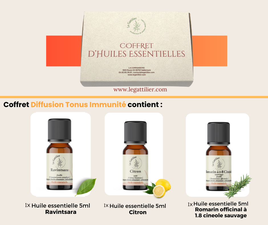 Diffusion Tonus Immunité